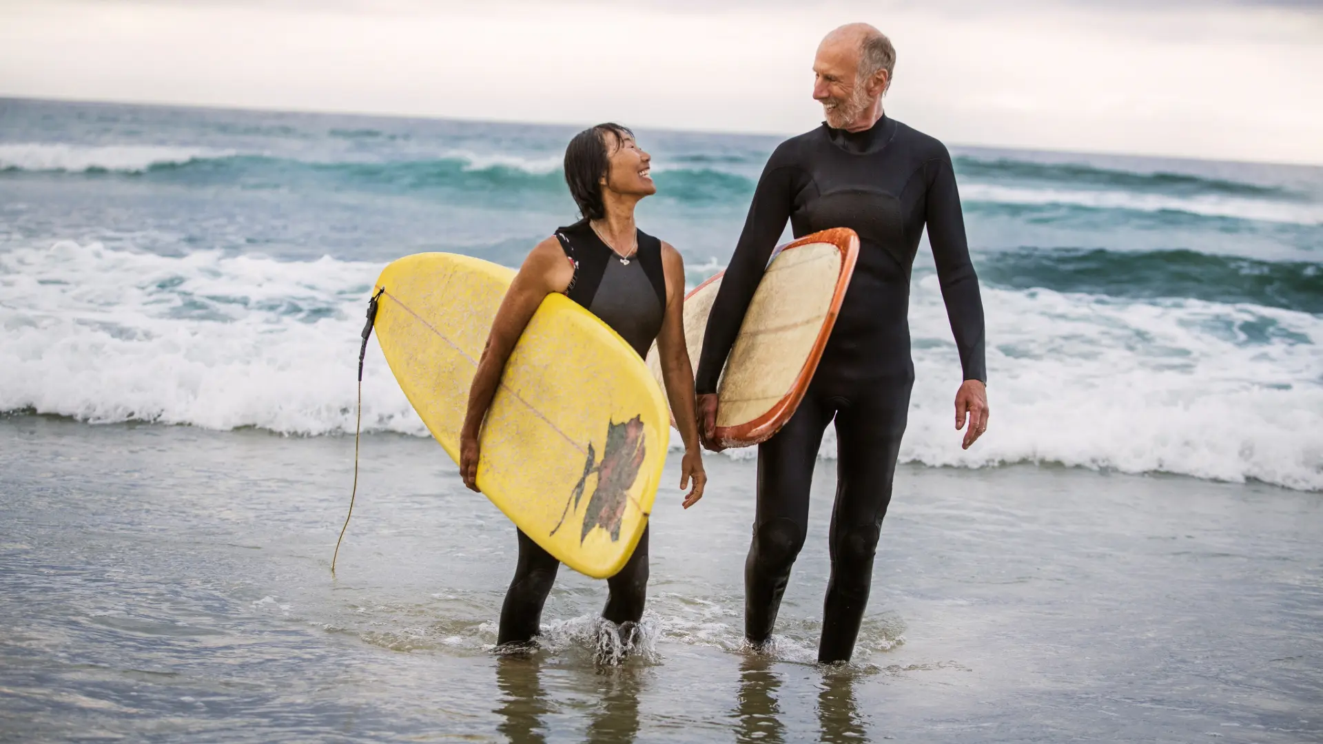 A Practitioners Guide to Longevity and Healthspan