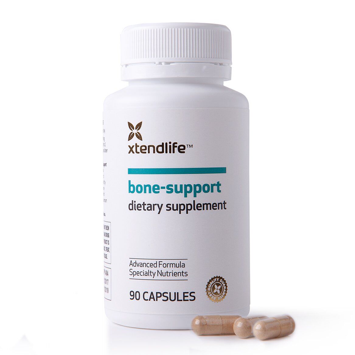 Bone Support